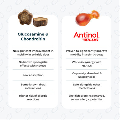 Antinol Plus For Dogs