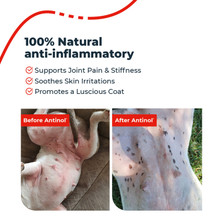Antinol Plus For Dogs