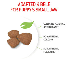 Royal Canin Canine Mini Puppy Dry Food