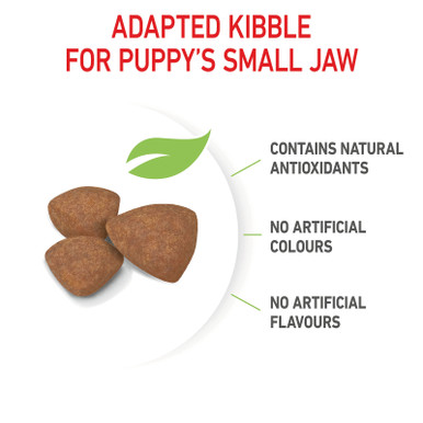 Royal Canin Canine Mini Puppy Dry Food