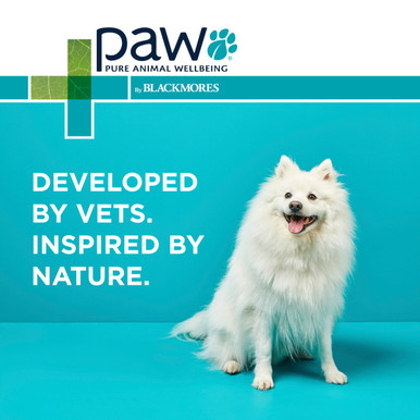 PAW OsteoAdvanced Joint Care Chews (Approx. 60 Chews 300g)