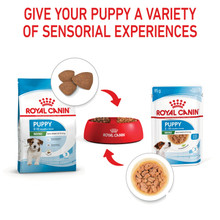 Royal Canin Canine Mini Puppy Wet Food Pouches