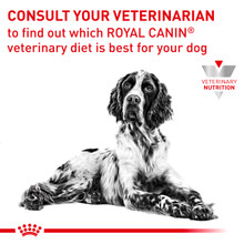 Royal Canin Veterinary Diet Canine Diabetic Dry Dog Food