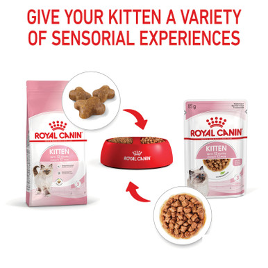 Royal Canin Kitten Wet Food Gravy Pouches