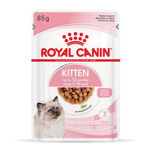 Royal Canin Kitten Wet Food Gravy Pouches