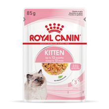 Royal Canin Kitten Wet Food Jelly Pouches