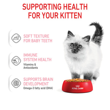 Royal Canin Kitten Wet Food Jelly Pouches