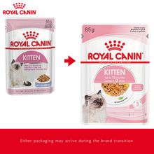 Royal Canin Kitten Wet Food Jelly Pouches