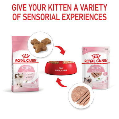 Royal Canin Kitten Wet Food Loaf Pouches