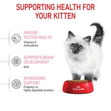 Royal Canin Kitten Dry Cat Food