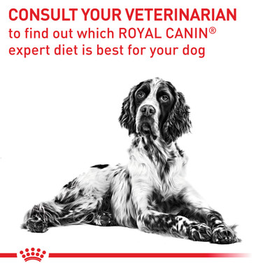 Royal Canin Veterinary Diet Canine Mature Consult Wet Dog Food Pouches