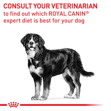 Royal Canin Veterinary Diet Canine Mature Consult Large Dog Dry Food (14kg)