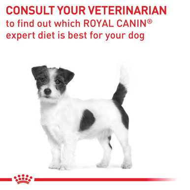 Royal Canin Veterinary Diet Canine Mature Consult Small Dog Dry Food (3.5kg)