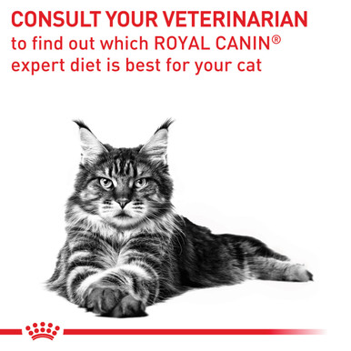 Royal Canin Veterinary Diet Feline Mature Consult Dry Cat Food