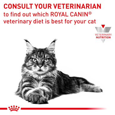 Royal Canin Veterinary Diet Feline Early Renal Dry Cat Food