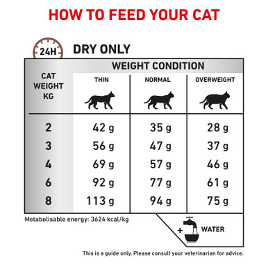 Royal Canin Veterinary Diet Feline Gastrointestinal Hairball Dry Cat Food