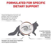 Royal Canin Veterinary Diet Feline Gastrointestinal Hairball Dry Cat Food