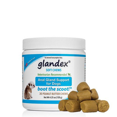 Glandex Anal Gland Support Chews For Dogs