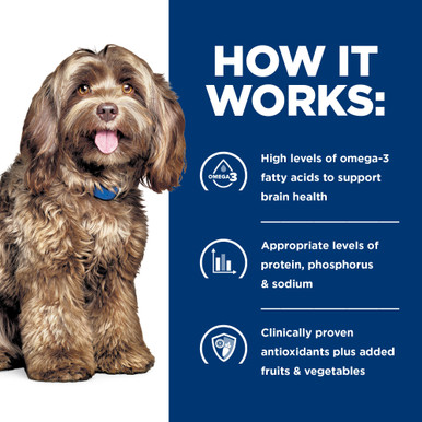 Hill's Prescription Diet b/d Brain Aging Care Dry Dog Food - How it Works