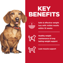Hill's Science Diet Perfect Weight Small & Mini Adult Dry Dog Food