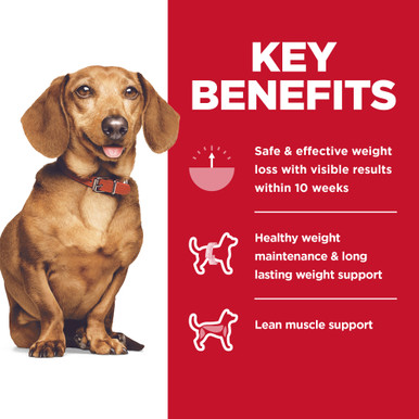 Hill's Science Diet Perfect Weight Small & Mini Adult Dry Dog Food