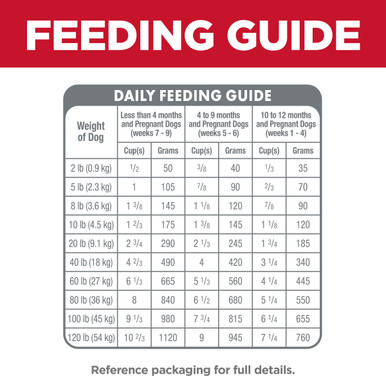 Weight How Many Times Per Day Should A Puppy Eat Weight How Much