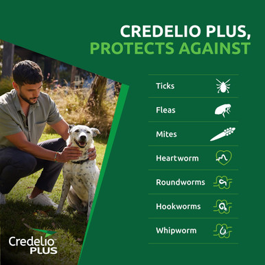 Credelio Plus Blue Extra Large Dogs 22kg-45kg