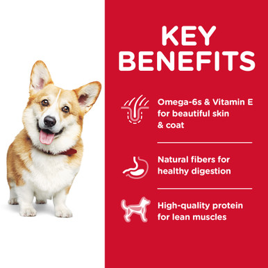 Hill's Science Diet Adult Small Bites Dry Dog Food