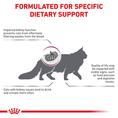 Royal Canin Veterinary Diet Feline Renal Special Dry Cat Food (2kg)