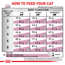 Royal Canin Veterinary Diet Feline Renal Special Dry Cat Food (2kg)