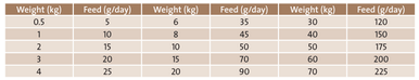 Wombaroo Kangaroo Pellets - Feeding Guide