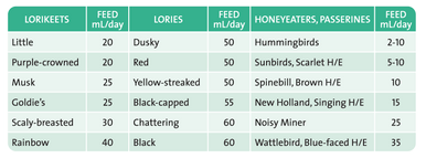 Wombaroo Lorikeet & Honeyeater Bird Food - Feeding Guide