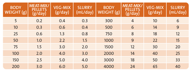 Wombaroo Reptile Supplement - Feeding Guide