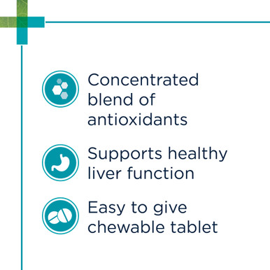 PAW Hepatoadvanced Medium & Large Dog >15kg (30 tablets)