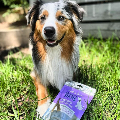 Bell & Bone Dental Sticks For Dogs - Kangaroo, Mint & Turmeric
