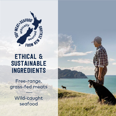 ZIWI Peak Wet Dog Food Lamb Recipe
