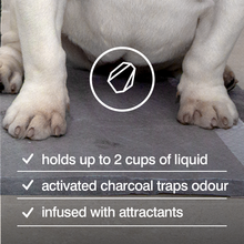 Rufus & Coco Posh Pee Pads For Dogs