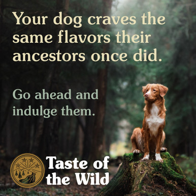 Taste of the Wild Grain Free High Prairie Canine Adult Dry Dog Food