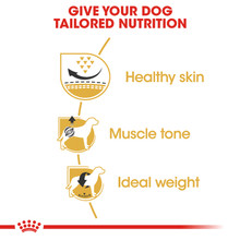 Royal Canin Pug Adult Dry Dog Food - Tailored Nutrition