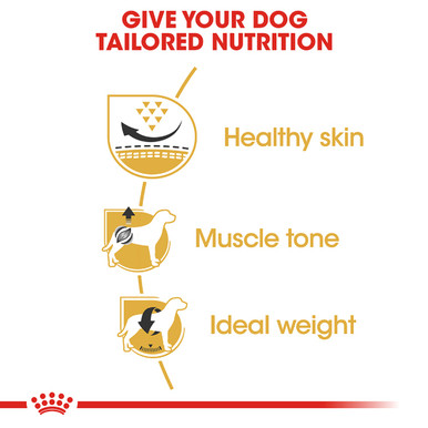 Royal Canin Pug Adult Dry Dog Food - Tailored Nutrition