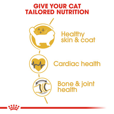 Royal Canin Ragdoll Adult Dry Cat Food - Tailored Nutrition