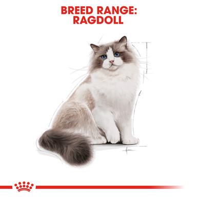 Royal Canin Ragdoll Adult Dry Cat Food - Breed Range