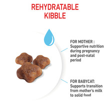 Royal Canin Mother & Babycat Dry Cat Food