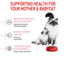 Royal Canin Mother & Babycat Dry Cat Food