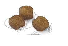 Royal Canin Medium Dental Care Adult Dry Dog Food - KIbble