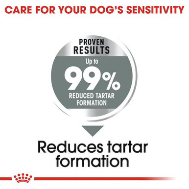 Royal Canin Medium Dental Care Adult Dry Dog Food - Reduces Tartar Formation