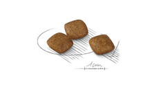 Royal Canin Mini Relax Care Adult Dry Dog Food - Kibble