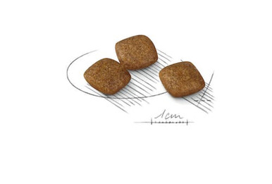 Royal Canin Mini Relax Care Adult Dry Dog Food - Kibble