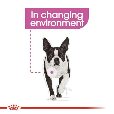 Royal Canin Mini Relax Care Adult Dry Dog Food