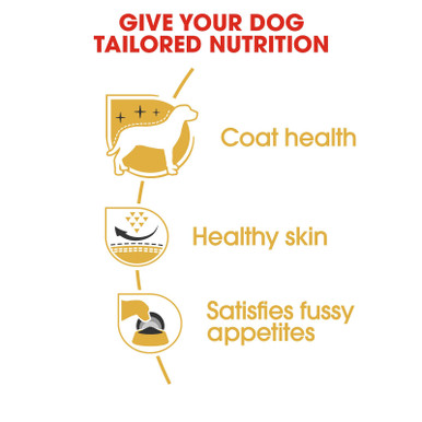 Royal Canin West Highland White Terrier Adult Dry Dog Food - Tailored Nutrition